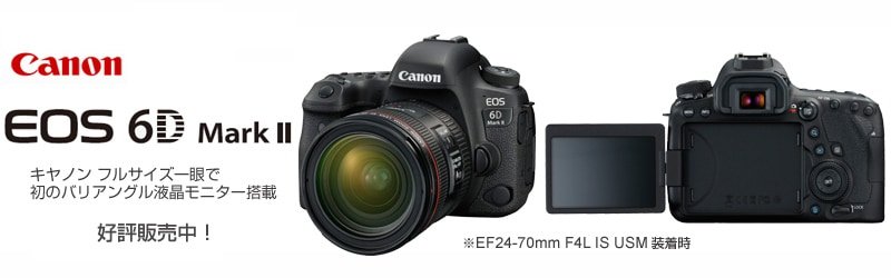 ヨドバシ.com - キヤノン フルサイズデジタル一眼レフ「EOS 6D Mark II