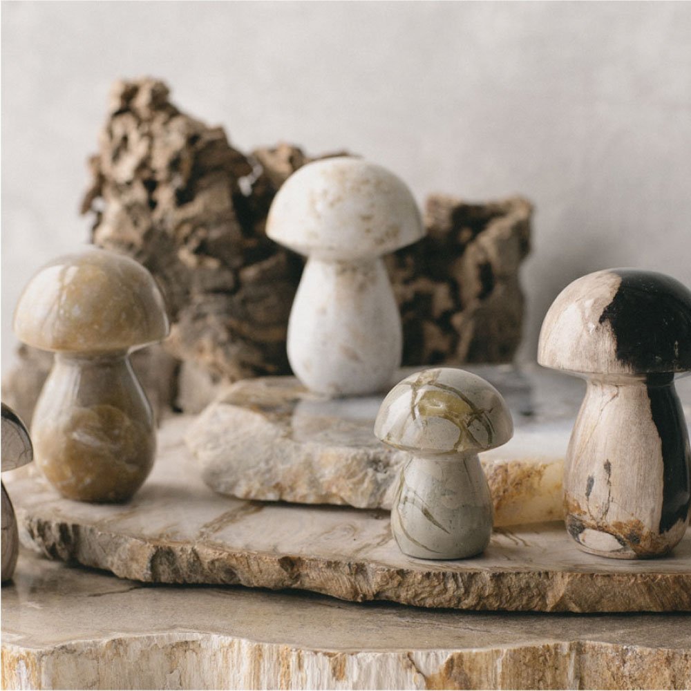 楽天市場】amabro MUSHROOM STONE -Petrified Wood- オブジェ 置物