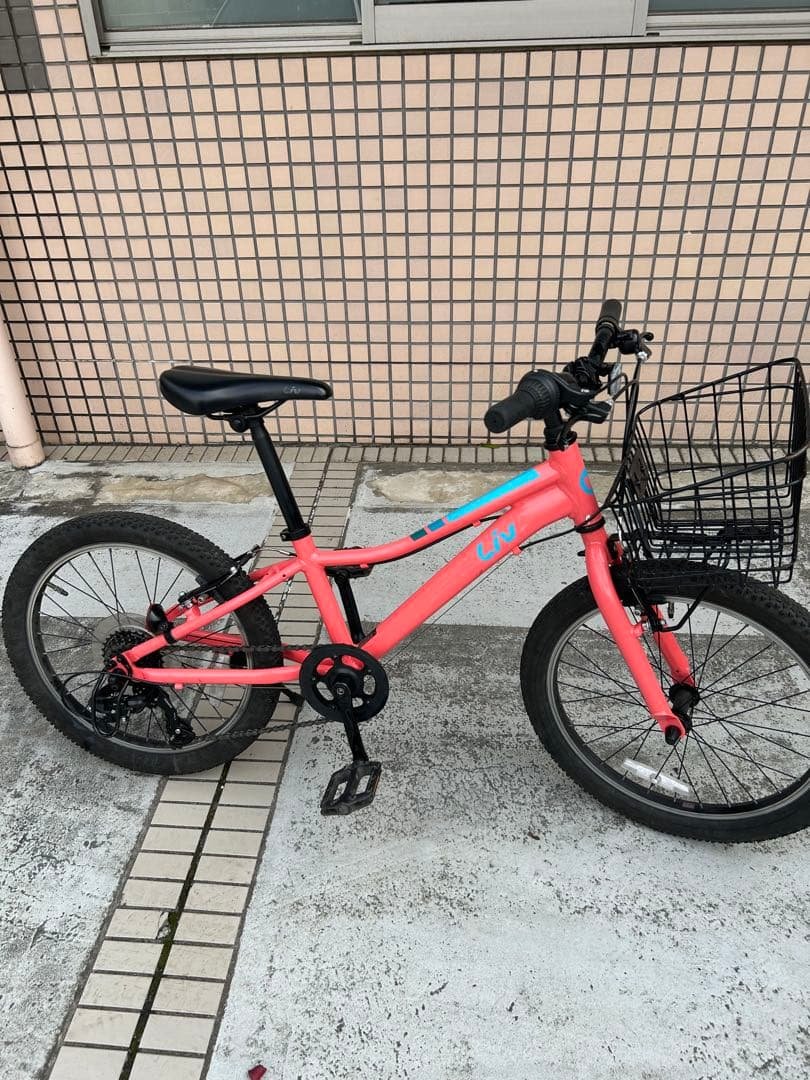 GIANT ENCHANT 20 LITE 20インチ 子供用 自転車 liv-liv-enchant-20-lite-ocean-