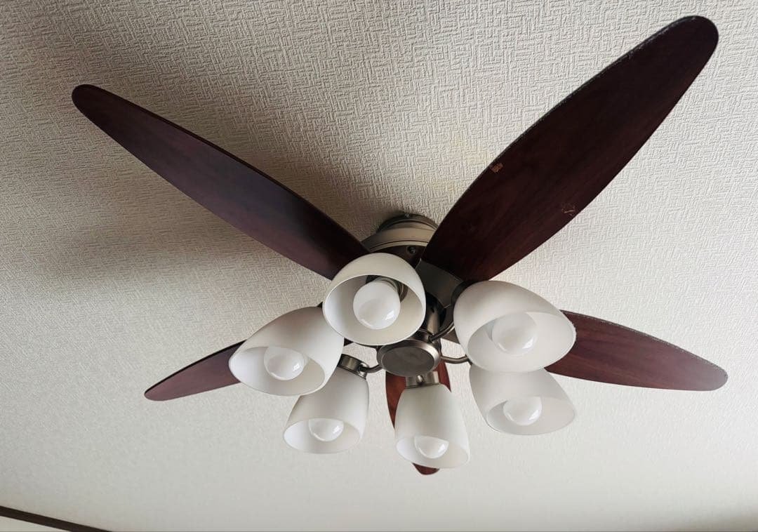 直接引き取り　シーリングファン 電球なし　ダークウッド 6灯 楽天市場】シーリングファン 【 Victor（ライト無し） 】 木目